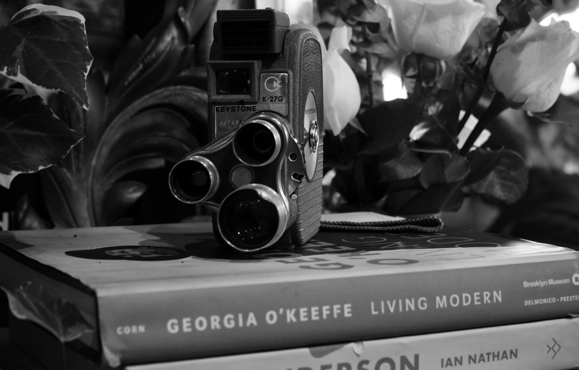A black and white shot of an old fashioned film camera atop a Georgia O'Keefe novel